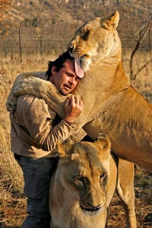 Guardians of the Wild: Protecting Endangered Species