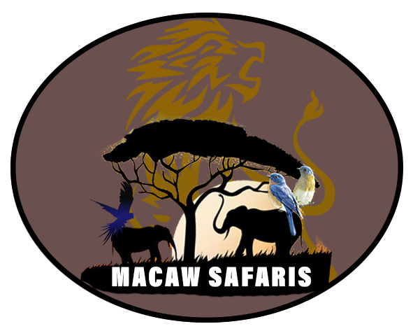 MACAW SAFARIS KENYA